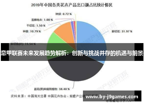 意甲联赛未来发展趋势解析：创新与挑战并存的机遇与前景