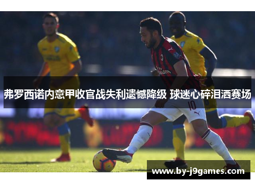 弗罗西诺内意甲收官战失利遗憾降级 球迷心碎泪洒赛场